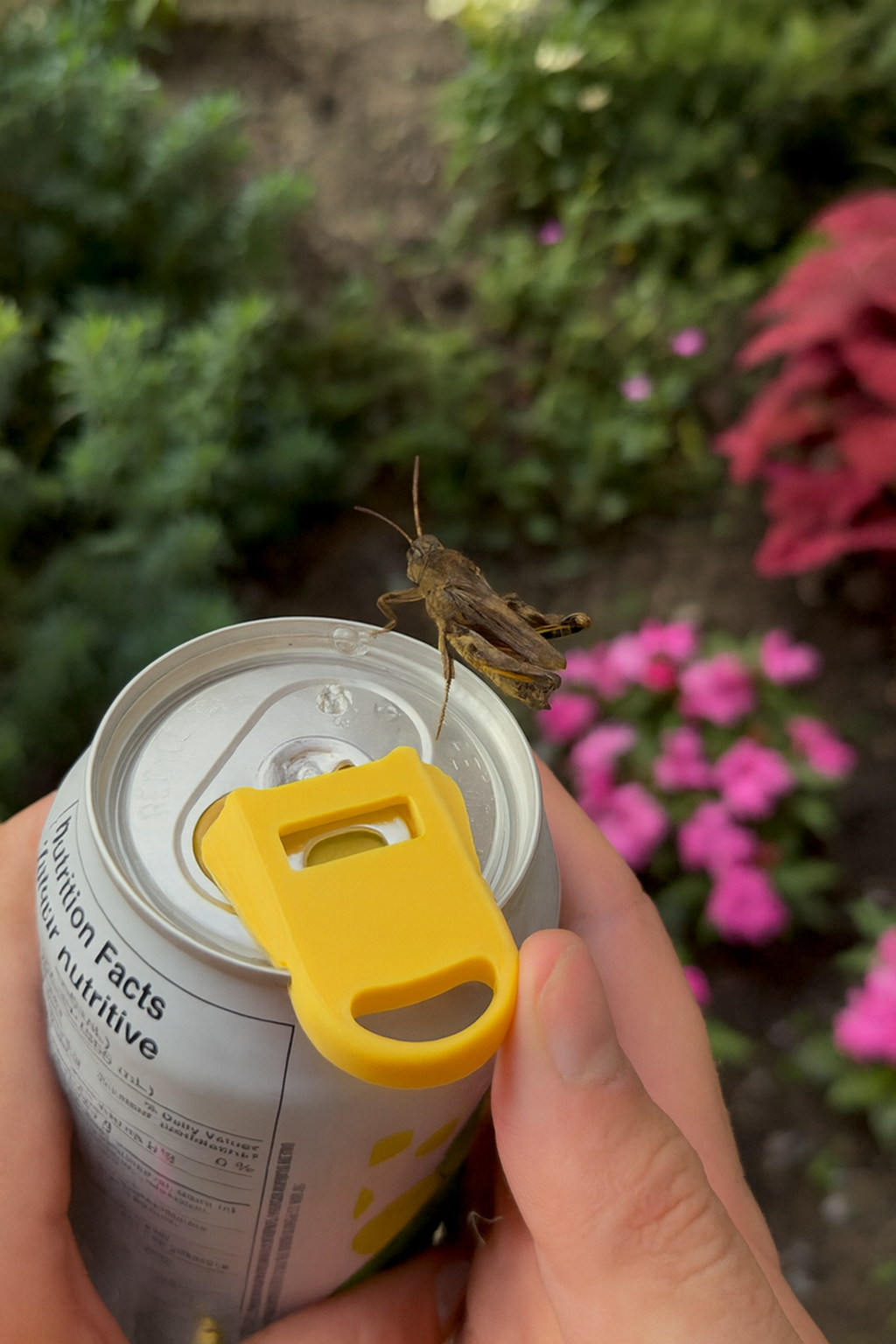 PopTop Guard – Easy-Open Can Lid